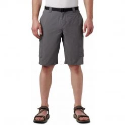 Columbia Men's Silver Ridge Cargo Short Shorts