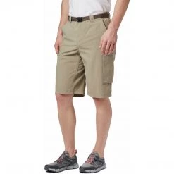 Columbia Men's Silver Ridge Cargo Short Shorts