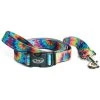 Chaco Camp & Hike Dog Leash