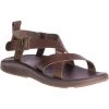 Chaco Men's Wayfarer