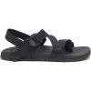 Chaco Men's Lowdown 2