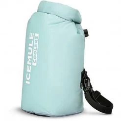 The ICEMULE Classic Mini