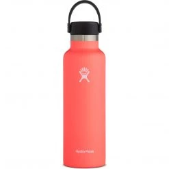 Hydro Flask 21 Oz Standard Mouth Water Bottle Camp & Hike