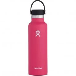 Hydro Flask 21 Oz Standard Mouth Water Bottle Camp & Hike
