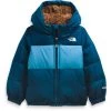 The North Face Toddler Moondoggy Hoodie