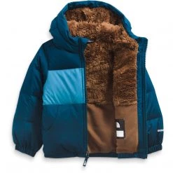 The North Face Toddler Moondoggy Hoodie
