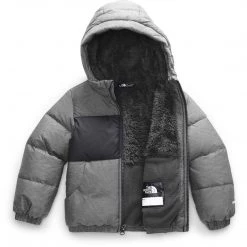 The North Face Toddler Moondoggy Hoodie