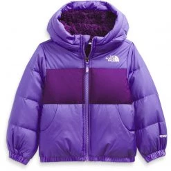 The North Face Toddler Moondoggy Hoodie