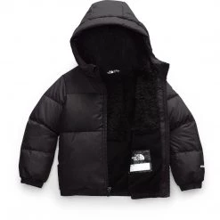 The North Face Toddler Moondoggy Hoodie