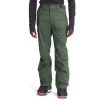 The North Face Men's Freedom Pant