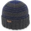 Pistil Men's Perch Beanie