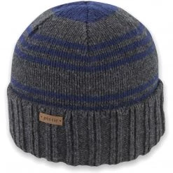 Pistil Men's Perch Beanie