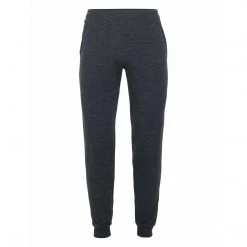 Icebreaker Men's Shifter Pants