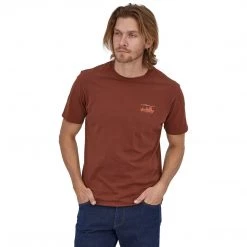 Patagonia Men's '73 Skyline Organic T-Shirt