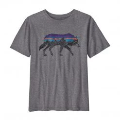 Patagonia Kids Boys' Regenerative Organic Certification Cotton Graphic T-Shirt